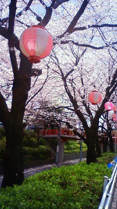 桜坂