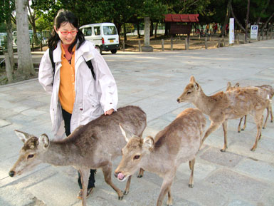 鹿男、鹿女なら、さらによし？