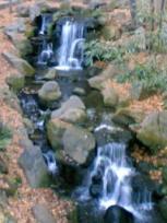 2008-01-13 20:29:31