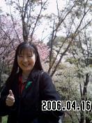 高尾の桜４