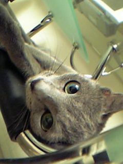 かｋぅれんぼ３