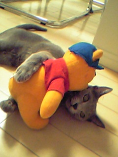 プーさん大好き