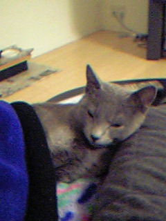 ママとおねむ２