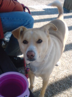 牛君おのどカラカラ