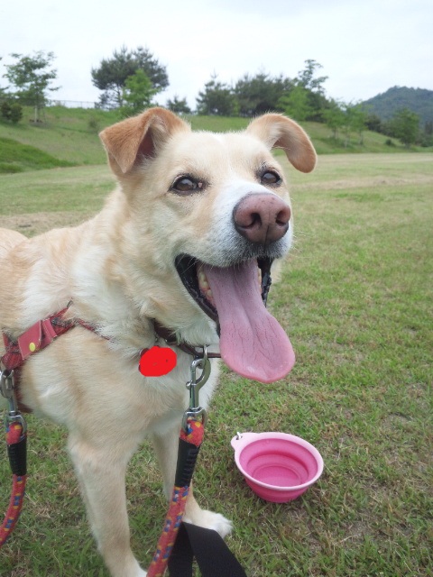 どんどん伸びるよ