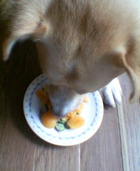 う～ん旬のびわは美味しい