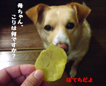 何ですかこれ？