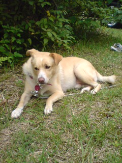 やっと出てきた