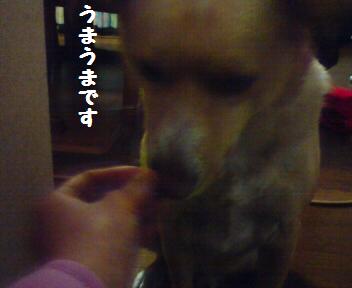 もっとくだたい