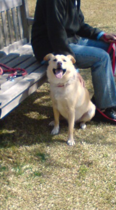 へへ～父ちゃんと走って楽しいねん