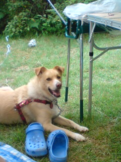 ちょっとご機嫌