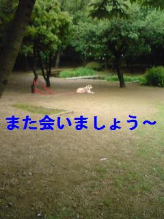 達者で暮らせよ～