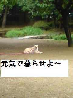 達者で暮らせよ～