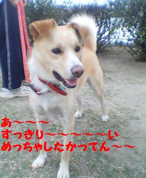 すっとした～