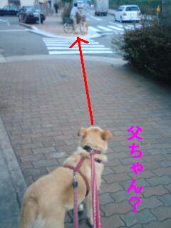 ありは父ちゃん？