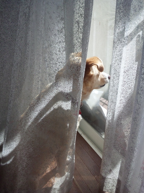 追い出したった