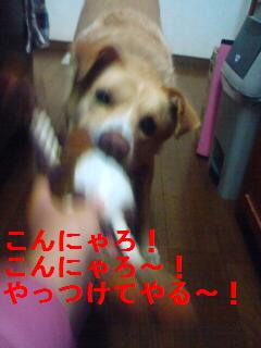 やっつける