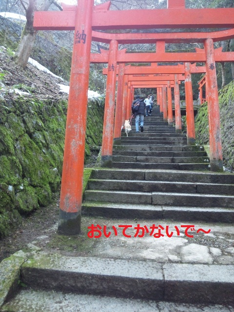 遅れる母ちゃん