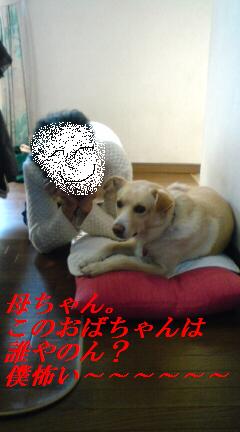 あんまりさわらんといて