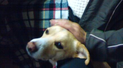 おばちゃん母ちゃんの母ちゃん？