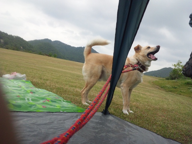 暑くてじっとしてられない～