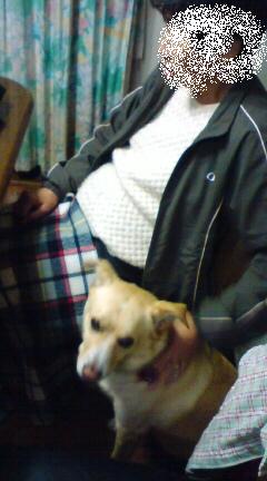 まだ触ってるで