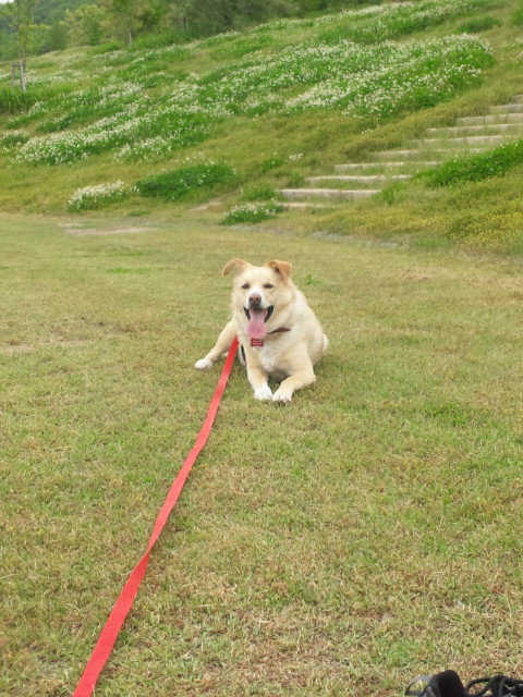 どんどん遠くに