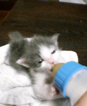 ６月２２日さん