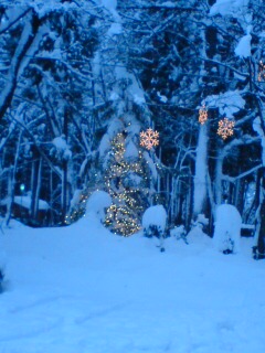 ちょっとだけ飾り