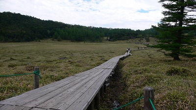 池の平湿原1.jpg