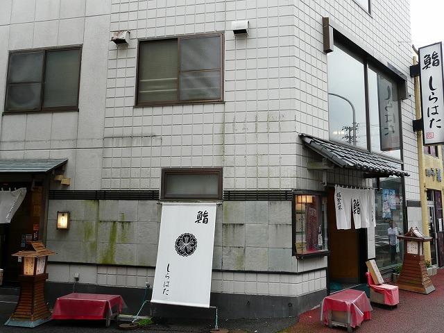 しらはた
