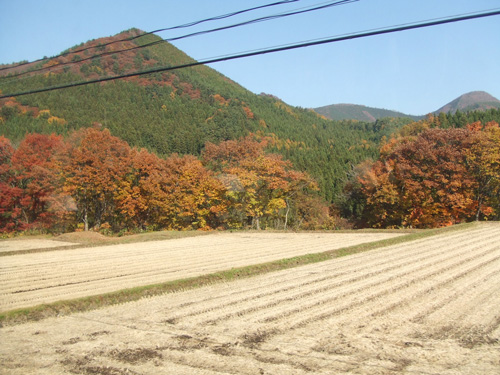 車窓から紅葉.jpg