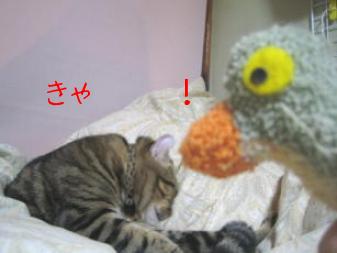 ゆるしてくらニャイ～