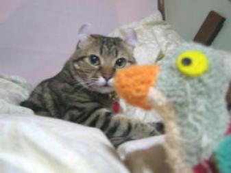 ほら、やっぱり。。。