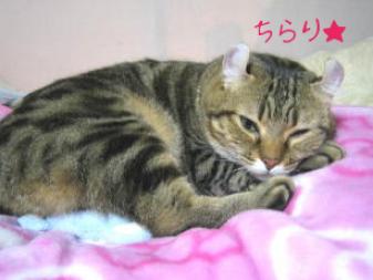 あっ帰ってきた。。。