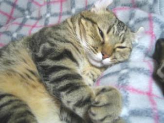 こんな風に。。。