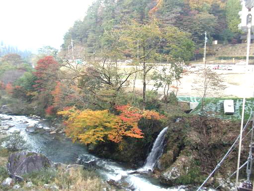 大井平公園 稲武の紅葉名所