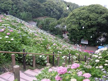 形原温泉あじさいの里