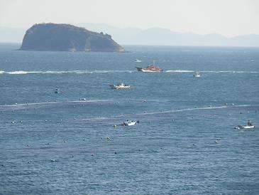 師崎の海