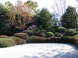 丈山苑　枯山水　庭園