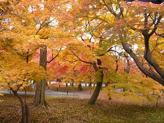 東福寺（臨済宗大本山）京都紅葉