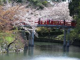 岡崎城　桜祭り