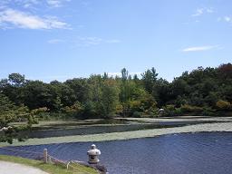 日本庭園・愛知万博跡地