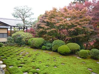 方丈｢八相の庭｣の紅葉。京都東福寺