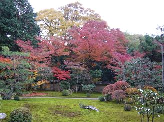 臥雲山・即宗院の紅葉（京都東福寺）