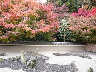 龍吟庵の紅葉（京都東福寺）