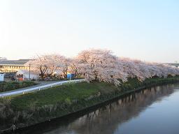 清洲城 (清須城)