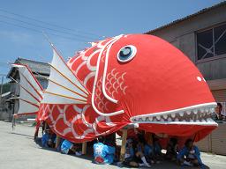 豊浜鯛まつり2010年7月25日赤鯛