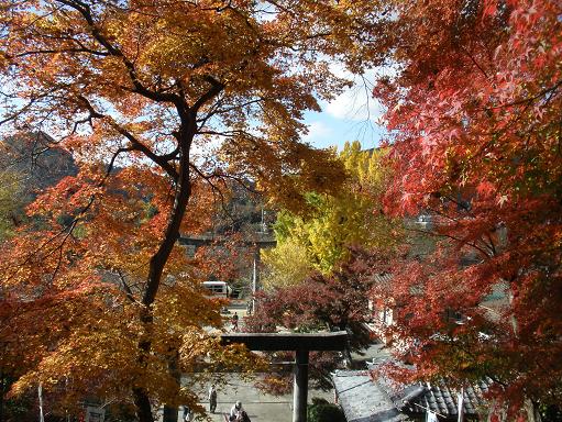 桃太郎神社のもみじ紅葉