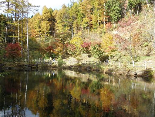 紅葉、西ウレ峠分水嶺管理棟横の池